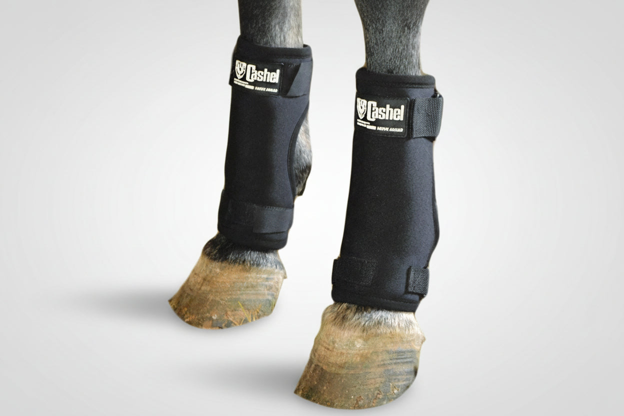 Cashel Stall Sore horse Boots